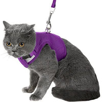 Arnés de gato a prueba de escape con correa ajustable de malla suave, ideal para caminar - BESTMASCOTA.COM