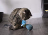 Petlinks Electronic Motion Toys for Cats - BESTMASCOTA.COM