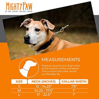 Collar de entrenamiento Mighty Paw, collar Martingale, calidad premium, limitado, collar cincha, collar reflectante para perros - BESTMASCOTA.COM