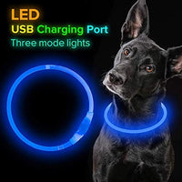 BSEEN Collar LED para perro, recargable por USB, collar brillante para perro para la seguridad nocturna, collar de moda para perros pequeños, medianos y grandes - BESTMASCOTA.COM