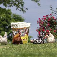 Manna Pro Mixed frijoles cero, 10 Lb - BESTMASCOTA.COM
