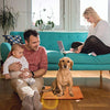 Almohadilla de calentamiento de mascotas Marunda, almohadilla de calentamiento de mascotas eléctrica para gatos y perros, impermeable en interiores, temperatura constante automática, cable de acero resistente a las masticaciones - BESTMASCOTA.COM