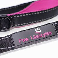 Correa para perro resistente Paw Lifestyles, 0.11 pulgadas de grosor, 6 ft de largo, mango acolchado para mayor comodidad, perfecta para perros medianos y grandes - BESTMASCOTA.COM