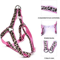 PAWZ Road Leopard Pet Leash Collar Arnés Set - BESTMASCOTA.COM