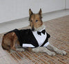 Evursua - Traje de esmoquin para perros grandes, para bodas y fiestas - BESTMASCOTA.COM