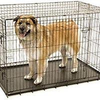 Petmate "ProValu" Wire Dog Crate, Two Doors, Precision Lock System, 6 Sizes - BESTMASCOTA.COM