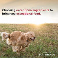 Diamond Naturals Skin & Coat Real Meat Recipe Dry Dog Food with Wild Caught Salmon - BESTMASCOTA.COM