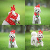 Idepet - Disfraz de Halloween para perro, 8 alas de araña, color morado, para cachorros - BESTMASCOTA.COM