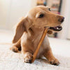 Bully Stick Variedad Pack para Perros | Mejor Mezcla de Natural Baja Olor de carne Stix | Pizzle Dental Treat Chews: Recto, Trenzado, Anillo, Primavera, Barbell, Pretzel, etc. - BESTMASCOTA.COM