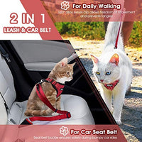 Eagloo - Juego de arnés y correa para gato, a prueba de escape, con correa 2 en 1 y cinturón de seguridad para coche, arnés ajustable para gatos, chaleco de malla suave con correa reflectante para gatito, conejo, cachorro - BESTMASCOTA.COM