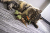 SmartyKat Fish Friends Crinkle and Catnip Juguetes para gatos - BESTMASCOTA.COM