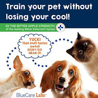 BlueCare Labs - Spray de manzana amarga para perros, antimasticar, para evitar morder y masticar para perros y gatos, espray de tratamiento disuasivo, libre de alcohol y no tóxico para masticar - BESTMASCOTA.COM