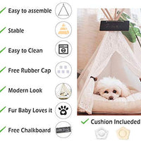 Little Dove Pet Teepee perro (cachorro) & Cat – Cama para mascotas portátil tiendas de campaña y casas para perro (cachorro) & gatos estilo encaje (con o sin cojín opcional) - BESTMASCOTA.COM