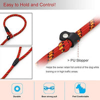 Correa Coolrunner collar de entrenamiento para mascota de Cesar el encantador de perros - BESTMASCOTA.COM