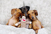 Pet qwerks Sock Monkey Dog Toy - BESTMASCOTA.COM