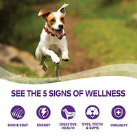 Wellness Complete Health Natural Dry Small Breed Dog Food Small Breed Turkey & Oatmeal - BESTMASCOTA.COM