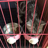 RUBYHOME Comedero para perros, cuenco de agua para mascotas, cuenco de plástico 2 en 1 y cuenco de acero inoxidable, cuenco extraíble para colgar gatos, conejos, pájaros, comida, cuenco perfecto para cajas y jaulas - BESTMASCOTA.COM