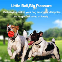 Idepet Pelota de juguete para perro, no tóxica, resistente a mordidas, pelota de juguete para mascotas, perros, cachorros, gatos, alimentador de comida para mascotas, masticar, limpieza de dientes, juego de pelotas de ejercicio, 2 unidades, azul y verde - BESTMASCOTA.COM