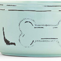 Pet Champion 32 oz clásico Mason Jar – Cuenco de melamina, color verde azulado, tamaño mediano - BESTMASCOTA.COM