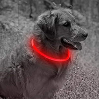 Collar de perro recargable por USB, LED, brilla en la oscuridad, collar para mascotas, resistente al agua, cortable, de TPU, para perros pequeños, medianos y grandes - BESTMASCOTA.COM