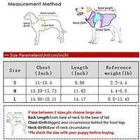 Coppthinktu - Traje de recuperación de gatos para heridas abdominales o enfermedades de la piel, transpirable E-Collar Alternativa para gatos y perros, después de cirugía desgaste anti lamer heridas - BESTMASCOTA.COM