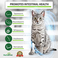 HerbalVet 10 Tablets Cat Intestinal Cleanse | Cat Dewormer Alternative | Cleansing Tablets for Cats, Promotes Intestinal Health | 4 Tablets, Works for Kittens | Helpful E-Book Included - BESTMASCOTA.COM