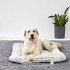 ANWA Dog Bed Large Dogs, Dog Pillow Bed Medium Dogs, Dog Crate Bed Cushion - BESTMASCOTA.COM