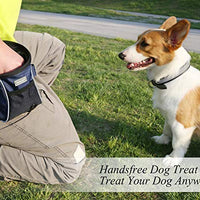 VIVAGLORY - Bolsa de regalo para perros, estilo deportivo y apertura ampliada, bolsa de regalo para perros con cintura ajustable, dispensador de bolsas de caca lo suficientemente grande para llevar golosinas, kibbles, juguetes para mascotas | 2 maneras de - BESTMASCOTA.COM