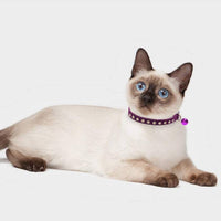 BINGPET Collar de gato con campanas Breakaway, suave terciopelo seguro, collares ajustables con diamante brillante, rosa y morado, 2 unidades - BESTMASCOTA.COM