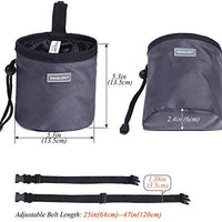 Vivaglory - Bolsa de regalo para perros con manos libres y cintura ajustable y dispensador de bolsas de residuos para perros, 2 maneras de llevar - BESTMASCOTA.COM