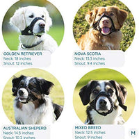 Suave protector de bozal para perros – evita morderse no deseado masticar de forma segura ajuste cómodo – acolchado de neopreno suave – no más rozaduras – Guía de entrenamiento incluida ayuda a construir lazos para mascotas - BESTMASCOTA.COM