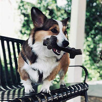 Pet Qwerks BarkBone - BESTMASCOTA.COM