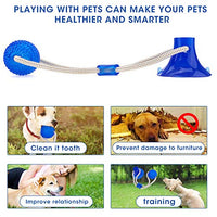 Juguete para morder Molar de GOCHANGE, cuerda interactiva multifunción, juguete de goma para masticar con ventosa para masticar, limpieza de dientes, apto para perros y gatos - BESTMASCOTA.COM