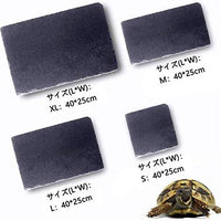 omem tortuga reptil Rock Plato de Comida Molienda la uña - BESTMASCOTA.COM