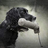 SportDOG - Chupetes de lona - Herramienta de entrenamiento para perros de caza - Parachoques pesado para un lanzamiento fácil - Mantiene fácilmente el aroma del juego - Flotadores - BESTMASCOTA.COM