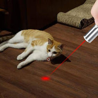 ¡Vamos! Herramienta de entrenamiento para mascotas recargable, 3 modos, juguete ligero para gatos (2 paquetes) + una etiqueta para mascotas - BESTMASCOTA.COM