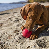 KONG Ball Dog Toys - BESTMASCOTA.COM