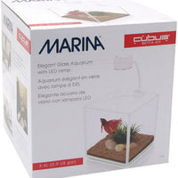 Marina CUBUS - Kit de cristal para Betta - BESTMASCOTA.COM