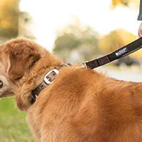 Leashboss Correa corta para perro con mango acolchado, correas de 12, 18 y 24 pulgadas para perros grandes, nailon de 1 pulgada - BESTMASCOTA.COM