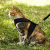 PUPTECK X-Figura Arnés para gato con correa – cuello ajustable a prueba de escape, chaqueta de malla para gatitos, cachorros - BESTMASCOTA.COM