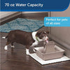PetSafe Cat and Dog Water Fountain - Automatic Water Dispenser - Drinkwell Pagoda Ceramic Fountain for Pets - Filter Included - 70 oz - BESTMASCOTA.COM