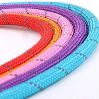 Correa Coolrunner collar de entrenamiento para mascota de Cesar el encantador de perros - BESTMASCOTA.COM