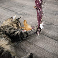 Petlinks Interactive Wand and Launcher Cat Toys - BESTMASCOTA.COM