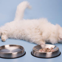 Dr. Catsby - Cuenco de agua, apto para batidoras, acero inoxidable, antideslizante, apto para lavavajillas, también puede prevenir el acné - BESTMASCOTA.COM
