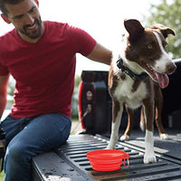 Franklin Pet Supply - Cuenco plegable para mascotas sin BPA, aprobado por la FDA – Perros – Gatos - BESTMASCOTA.COM