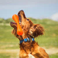 Bionic Urban Stick - Juguete para perros, resistente y masticable - BESTMASCOTA.COM