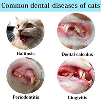 Juguetes de limpieza de dientes de gato, cepillo de dientes de gato, juguete de gato IQ, juguetes interactivos de gato para masticar, cepillo de dientes en forma de pez para masticar mascotas, juguetes de limpieza de dientes de goma para gatos gatitos - BESTMASCOTA.COM