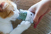Tabby James Premium Orgánica catnip Regular Cut Set, 0,5 oz - BESTMASCOTA.COM