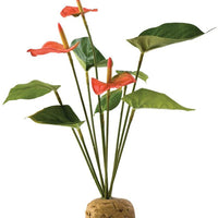 EXO TERRA Planta Anthurium Bush terrario - BESTMASCOTA.COM