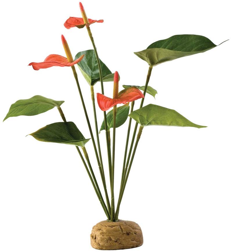 EXO TERRA Planta Anthurium Bush terrario - BESTMASCOTA.COM